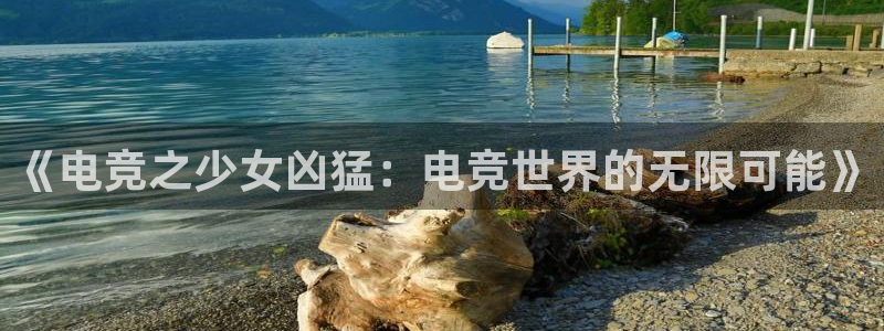 米兰电竞网页版入口