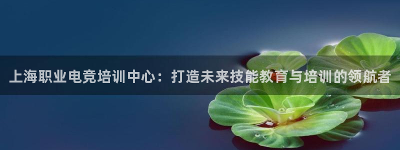 米兰电竞网址